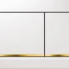 Geberit Omega 30 Bedieningsplaat 2-knops Front/planchetbediening Wit-goud-wit