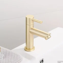 Fonteinkraan Boss & Wessing Gold Geborsteld Messing Mat Goud