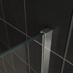 BWS Inloopdouche Pro Line Middenband 80x200 8mm Nano Coating RVS Profiel En Stang -Baden Luxe Verkoop helder geb. staal muurprofiel