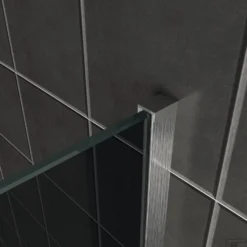 BWS Inloopdouche Pro Line Rookglas Met Middenband 90x200 8mm Nano Coating RVS Profiel En Stang -Baden Luxe Verkoop rookglas geb. staal muurprofiel 4 1