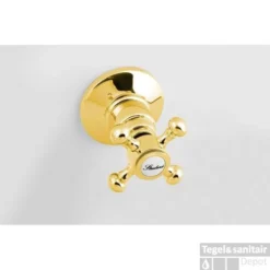 Douchekraan Inbouw Sapho Antea Mengkraan Afbouwdeel 2-weg Goud 7 Douchekraan Inbouw Sapho Antea Mengkraan Afbouwdeel 2-weg Goud -Baden Luxe Verkoop set305 105 douchekraan inbouw sapho antea mengkraan afbouwdeel 2 weg goud 1